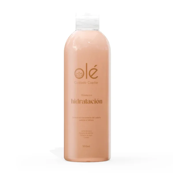 SHAMPOO COCO Y MIEL